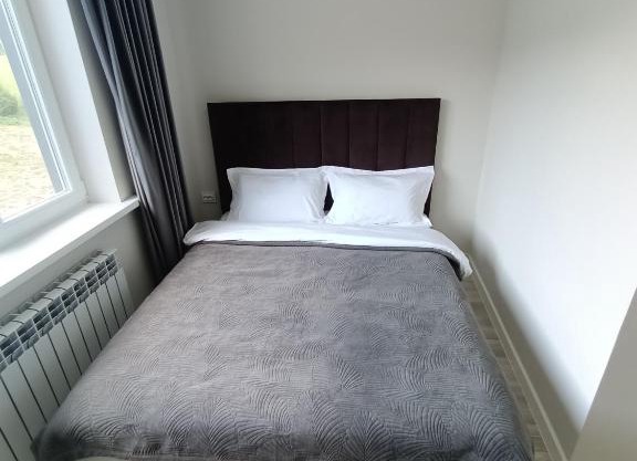 Hotel Kolsay Eki Agayindy