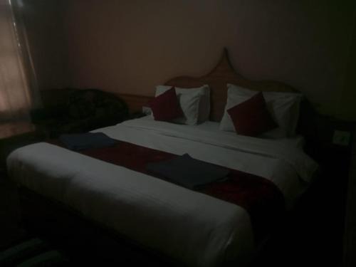 Hotel Krishna Inn