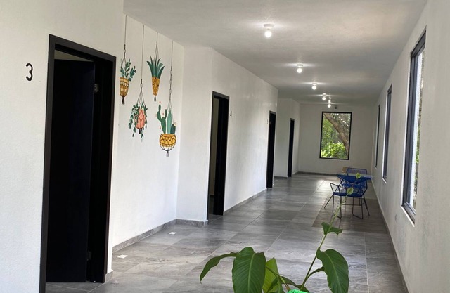 Hotel La Isla