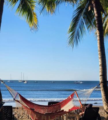 Hotel La Palapa