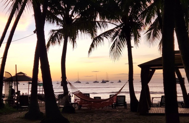 Hotel La Palapa