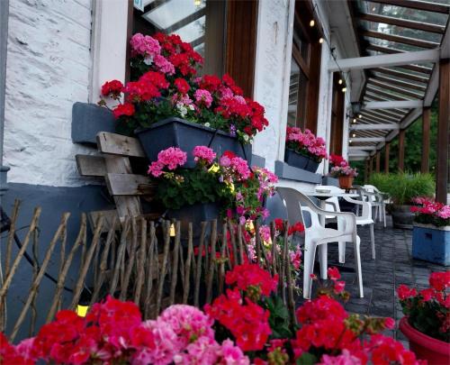 Hotel Le Chalet
