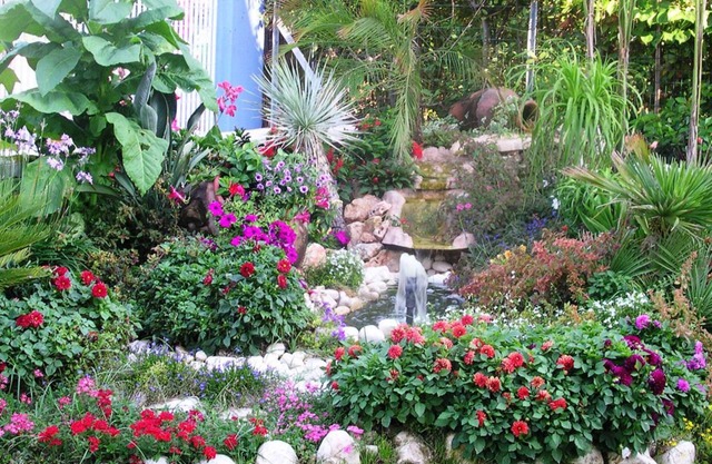 Hotel Le Palme