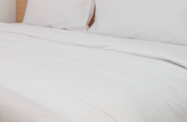 Hotel Lestari Near Lippo Plaza Mall Jember