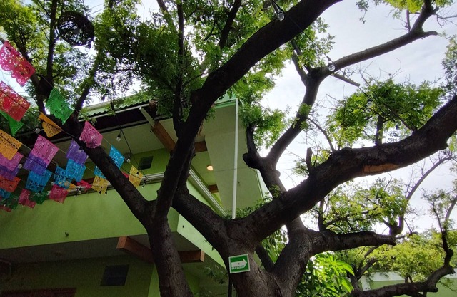 Hotel Los Ciruelos