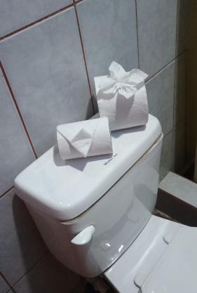 Hotel MANAA