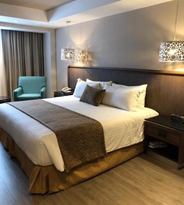 Hotel Metropol