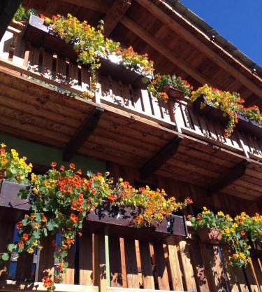 Hotel Meublé Gorret