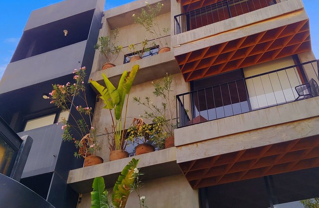 Hotel Momotus