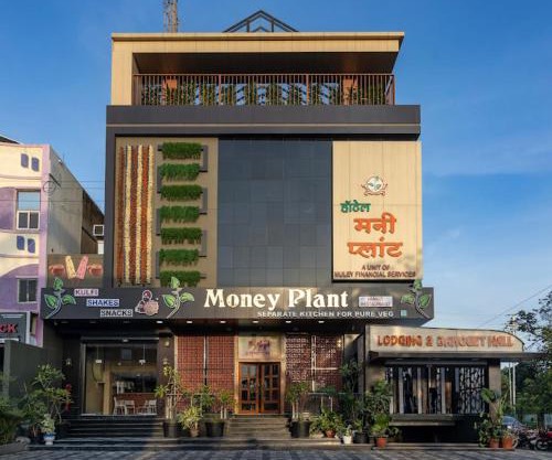 Hotel Money Plant