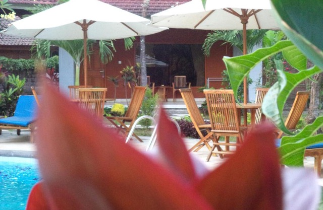 Hotel My Lovina