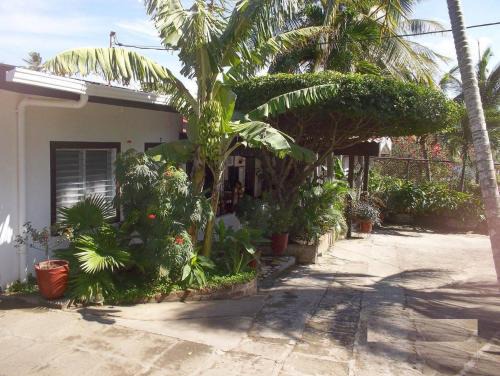 Hotel Noches Sureñas/Southern Nights Nicaragua