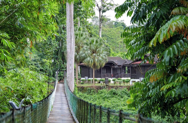 OYO 91160 Asiacamp Resort National Park
