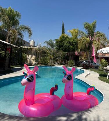 Hotel Pink TH