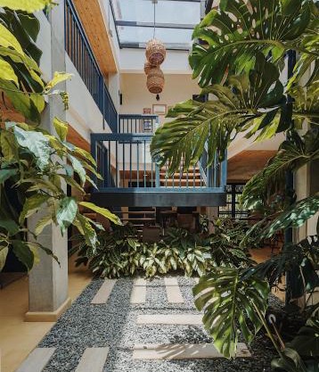 Hotel Plantación