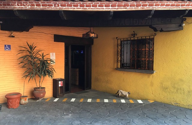Hotel Playa Internacional
