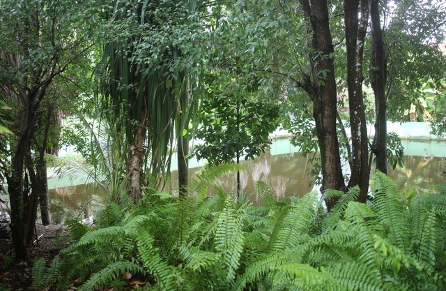 Hotel Pousada Do Buriti
