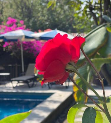 hotel quinta real las palmas malinalco