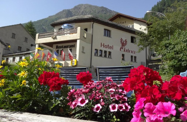 Hotel-Restaurant Grina