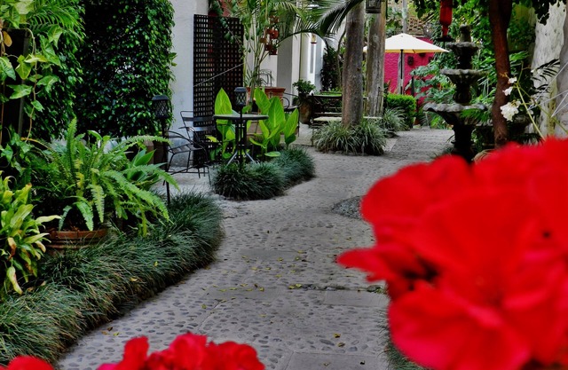 Hotel Rosa Morada