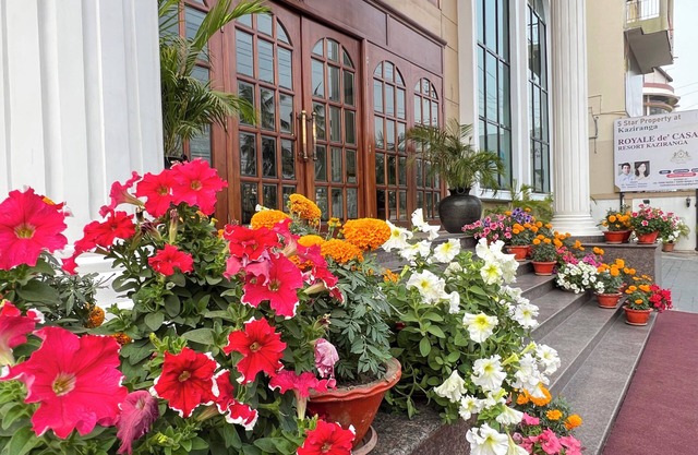 Hotel Royale de CASA