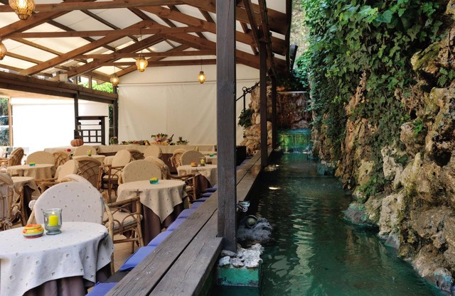 Hotel Salus