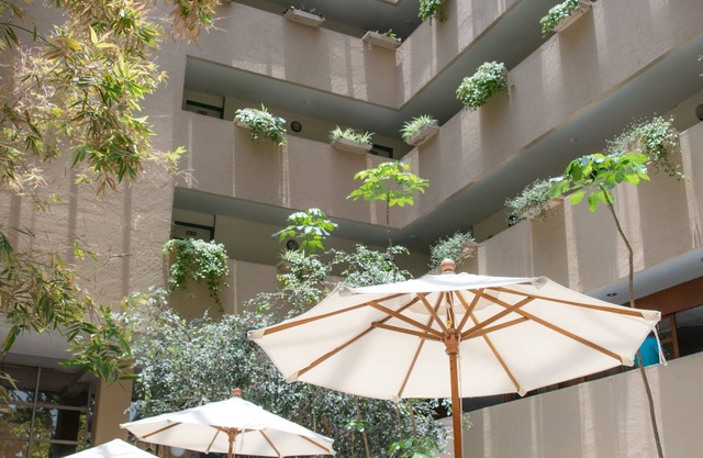 Hotel San Francisco Toluca