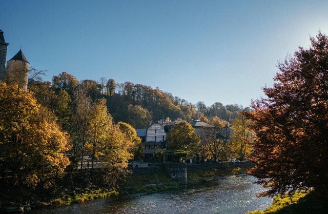 Hotel Sanglier