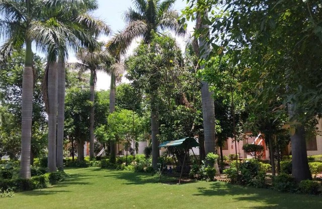 Hotel Shree Krishna Jungle Resort