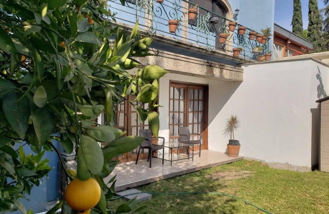 Hotel Singular Coyoacán