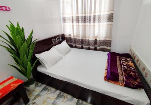 Hotel Taqwa Dhanmondi