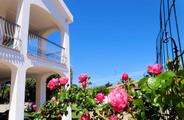 Hotel Tartaruga Bianca