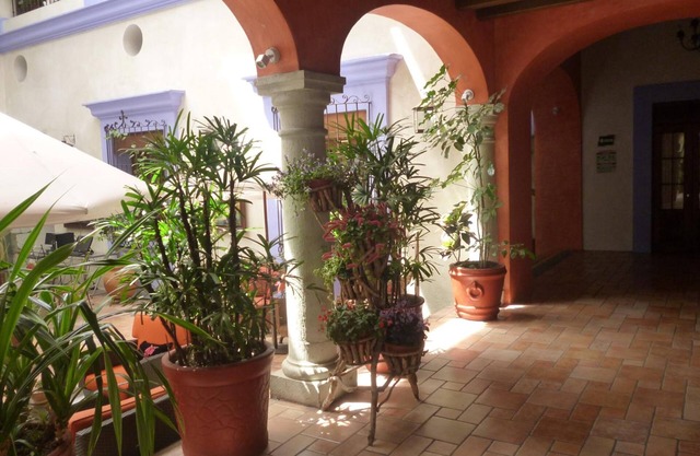 Hotel Trebol