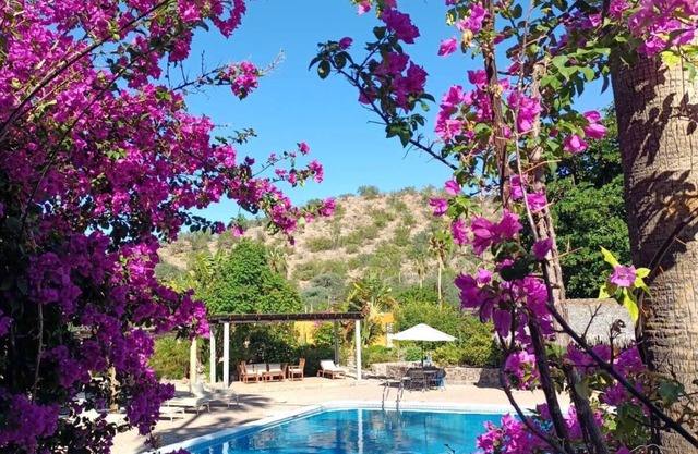 Hotel Tripui