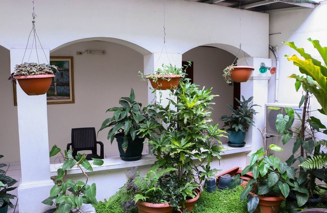 Hotel Villa Serena San Benito