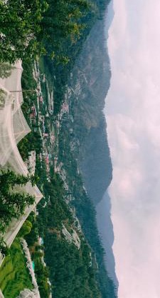 Hotel White Rock Janjehli