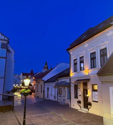 Hotel Zlaté Košice - Self reception