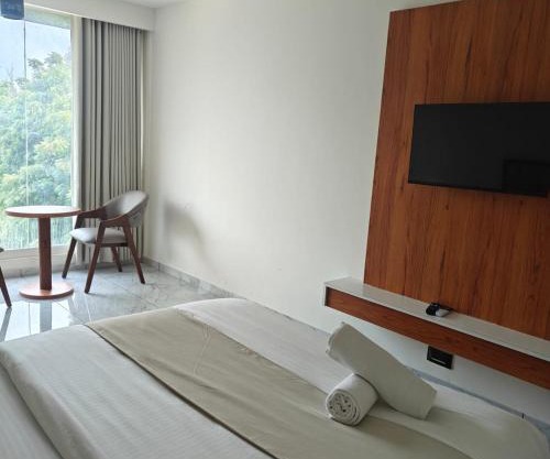 Hotelmaple tree