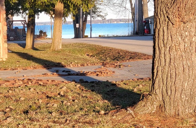 Lakeview / Gazebo / Firepit / Kayak /SUP, A/C Recliner / Lake Access / Trails