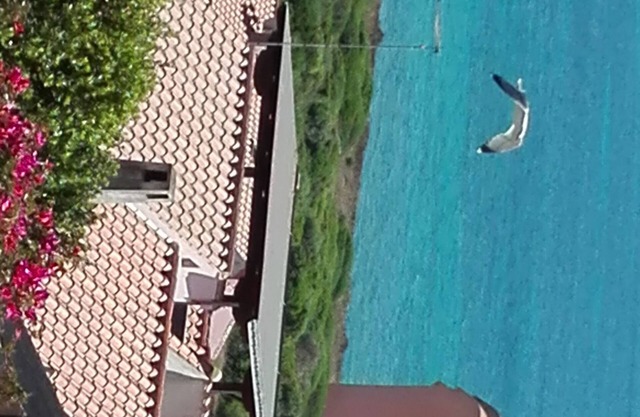 house 300 meters from the sea
