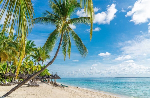 House, 6+ persons. White-Sand Beach - Grand Bay 20mins. Special Offer Discount