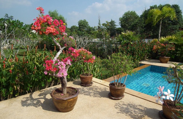 Casa con piscina frente al mar. Desayuno, Wifi, limpieza ... incluido