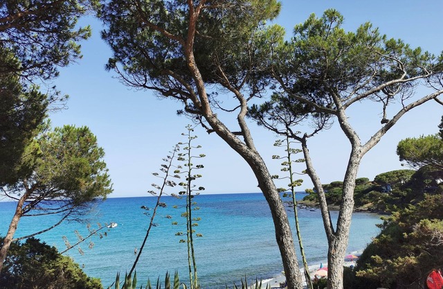 House Facing the Sea in Sas Linnas Siccas