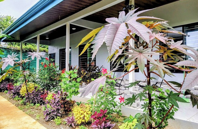 House for 8 People w/ WiFi, AC--5 Mins to Dominical Beach, 30 Mins to N. Park.