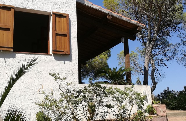 Casa inmersa en el bosque de pinos