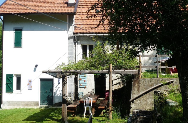 House in the Forest Purple (CITRA Code 009063-LT-0016)