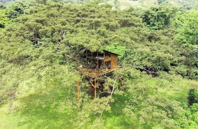 Casa en el Árbol cerca a Bogotá SOPHIA