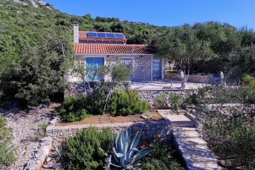 House Lemon Tree