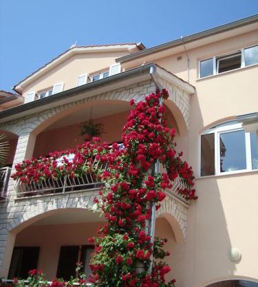 House Marić