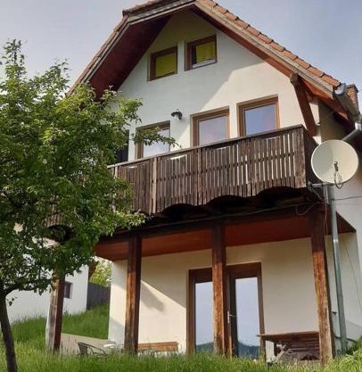 House Michael Camping Ananas Cisnadioara